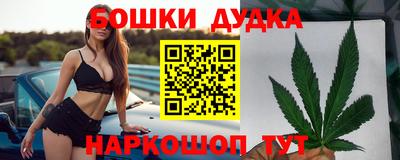 МДПВ Бийск