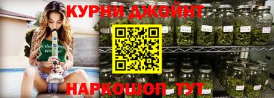 МДПВ Бийск