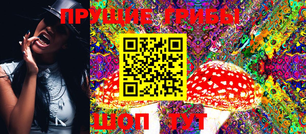 Калач-на-Дону  Псилоцибиновые грибы Psilocybine cubensis  Вход с VPN 