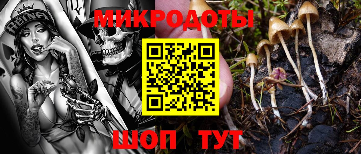 Псилоцибиновые грибы прущие грибы Калач-на-Дону